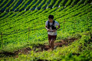 BIB: 119
                            <button type="button" onclick="openModal(19160589)" class="btn btn-primary btn-sm float-right btn-popup" data-toggle="modal" data-target=".modal-high-quality">
                        <i class="fas fa-shopping-cart"></i> Add to Cart
                    </button>
                                            <button type="button" onclick="isThisMe(19160589, true)" class="btn btn-success btn-sm float-right btn-popup btn-isme hidden" data-toggle="tooltip" data-placement="bottom" title="นี่คือรูปของคุณใช่ไหม คลิกที่นี่เพื่อเอาเข้าอัลบั้ม">
                        <i class="fas fa-plus"></i> Add to album
                    </button>
                    <button type="button" onclick="isThisMe(19160589, false)" class="btn btn-warning btn-sm float-right btn-popup btn-isnotme hidden">
                        <i class="fas fa-ban"></i> Remove from album
                    </button>